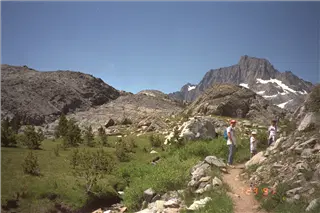 small_9400 0647 family, hi, flowersIMG0002.webp